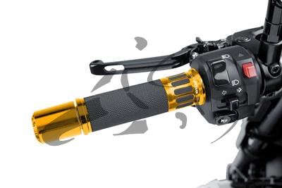 Puig grips Racing Aprilia RS 660