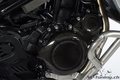 Carbon Ilmberger Motordeckelabdeckung Set BMW F 700GS