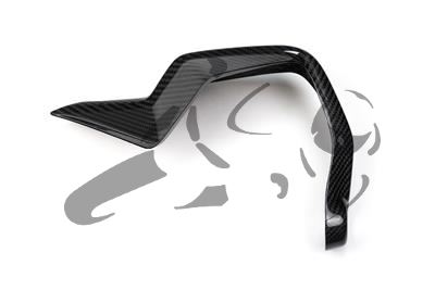 Set di paramani in carbonio BMW S 1000 XR