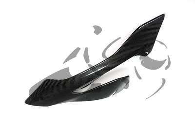 Juego paneles laterales carenado carbono Ilmberger BMW S 1000 XR