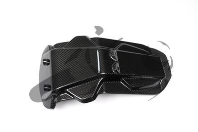 Protector antisalpicaduras Ilmberger carbono bajo matrcula BMW S 1000 XR