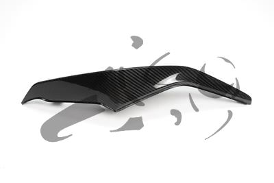 Kit de carnage arrire Carbon Ilmberger BMW S 1000 XR