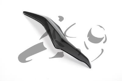 Kit de carnage arrire Carbon Ilmberger BMW S 1000 XR