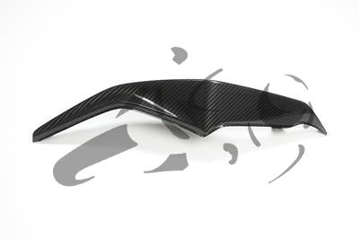 Kit de carnage arrire Carbon Ilmberger BMW S 1000 XR