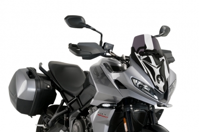 Schermo sportivo Puig Triumph Tiger 660