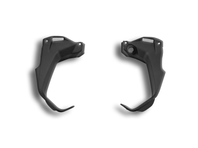 Ducabike carbon dashboard side panel set S