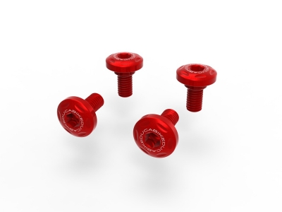 Ducabike casing screws set Ducati Streetfighter V4