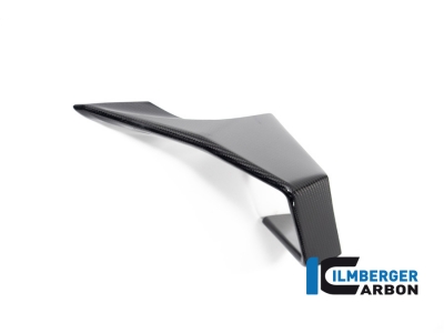 Originele Carbon Ilmberger Winglets links BMW M 1000 RR