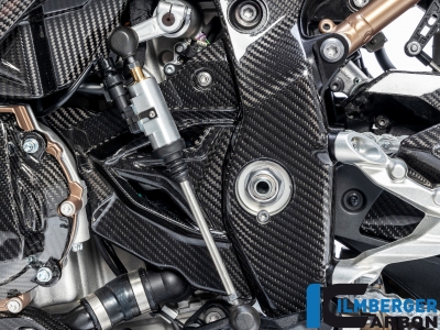 Carbon Ilmberger Ritzelabdeckung BMW M 1000 RR