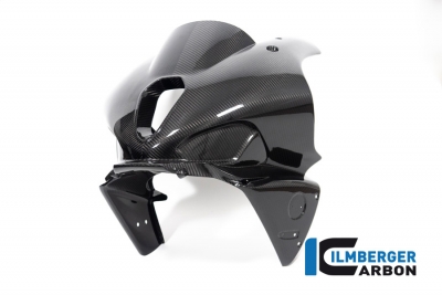 Carbon Ilmberger Frontverkleidung Racing BMW M 1000 RR