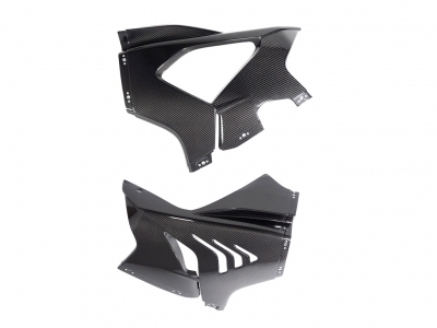 Carbon Ilmberger side fairing set Racing BMW M 1000 RR