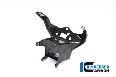 Kolfiber Ilmberger instrumentpanel topp Racing BMW S 1000 RR