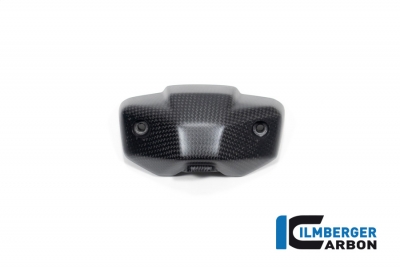 Carbon Ilmberger Instrumentenabdeckung Ducati Streetfighter V2