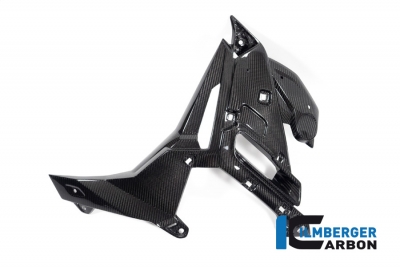 Set coperchio radiatore acqua in carbonio BMW M 1000 R