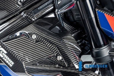 Set coperchio radiatore acqua in carbonio BMW M 1000 R