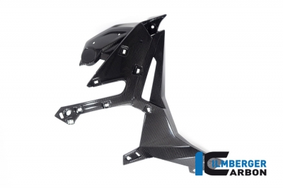 Set coperchio radiatore acqua in carbonio BMW M 1000 R