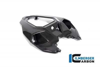 Carbon Ilmberger Heckverkleidung Mittelteil BMW M 1000 R