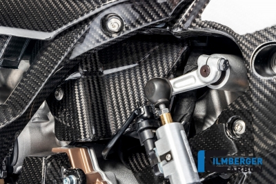 Carbon Ilmberger Kabelbaumabdeckung BMW M 1000 R