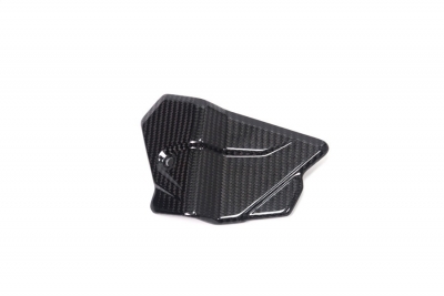 Carbon Ilmberger Kabelbaumabdeckung BMW M 1000 R