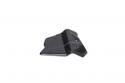 Carbon Ilmberger Kabelbaumabdeckung BMW M 1000 R