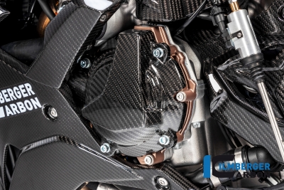 Kolfiber Ilmberger vxelstrmsskydd BMW M 1000 R