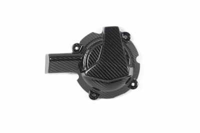 Kolfiber Ilmberger vxelstrmsskydd BMW M 1000 R