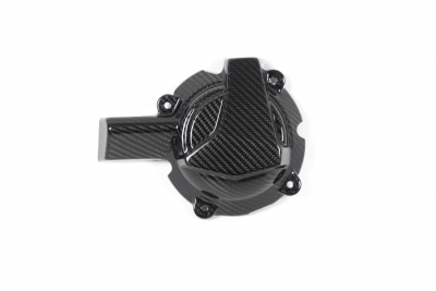 Carbon Ilmberger alternator cover BMW M 1000 R