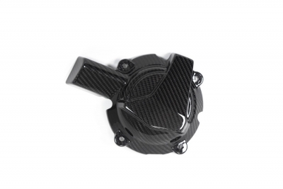 Kolfiber Ilmberger vxelstrmsskydd BMW M 1000 R