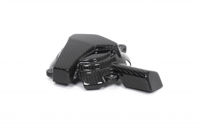 Kolfiber Ilmberger vxelstrmsskydd BMW M 1000 R