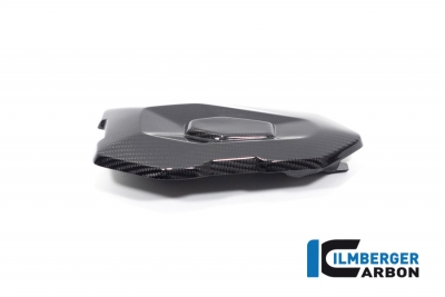 Carbon Ilmberger achterzadelhoes BMW M 1000 R