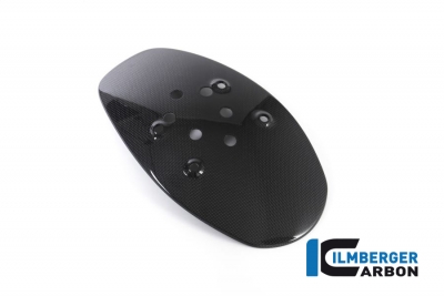 Carbon Ilmberger splash guard Ducati Diavel V4