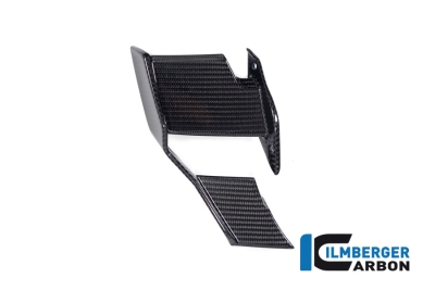 Carbon Ilmberger winglets right BMW M 1000 R