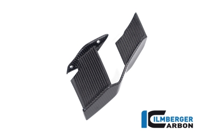 Carbon Ilmberger winglets right BMW M 1000 R