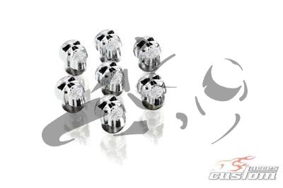 Custom Acces Plugs Skull