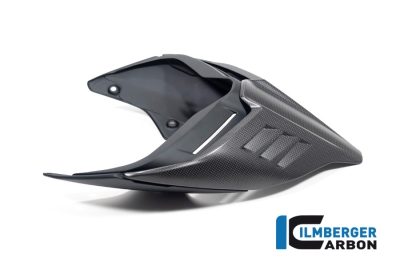 Carbon Ilmberger Ducati rear fairing Monoposto Special Ducati Streetfighter V4