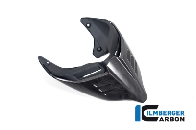 Carbon Ilmberger Ducati rear fairing Monoposto Special Ducati Streetfighter V4