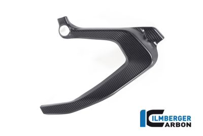 Carbon Ilmberger frameafdekkingen BMW R 1300 GS