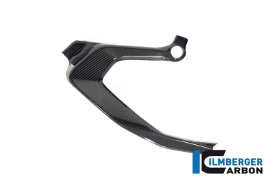 Carbon Ilmberger frameafdekkingen BMW R 1300 GS
