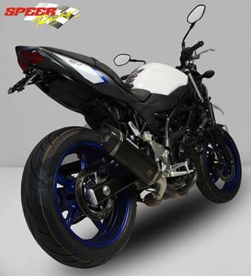 Auspuff Bodis P-Tec IIN Suzuki SV 650