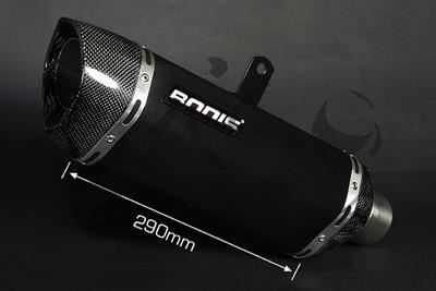 Auspuff Bodis P-Tec IIN Suzuki SV 650