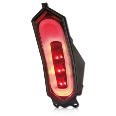 LED-achterlicht donker getint Yamaha YZF R6