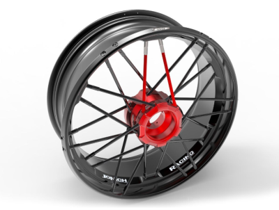 Jonich Speichenfelgen Einarmschwinge Ducati Panigale 1299
