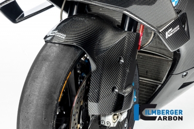 Carbon Ilmberger Vorderradabdeckung BMW S 1000 R