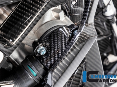 Carbon Ilmberger Wasserpumpendeckelabdeckung BMW S 1000 R