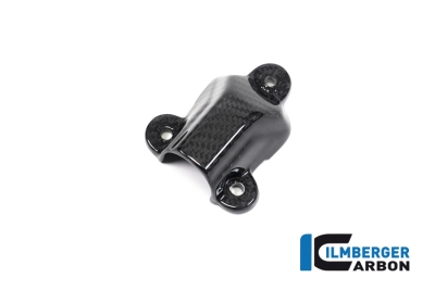 Carbon Ilmberger Wasserpumpendeckelabdeckung BMW S 1000 R