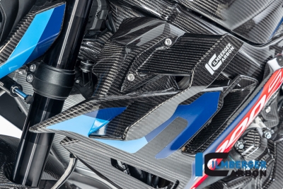Carbon Ilmberger Winglets Set BMW S 1000 R