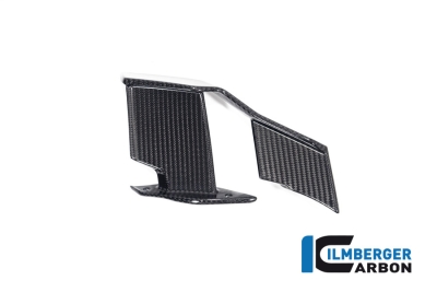 Carbon Ilmberger Winglets Set BMW S 1000 R
