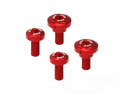 Ducabike untere Rahmenschraube Ducati Diavel V4