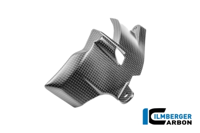 Carbon Ilmberger Motordeckel rechts Ducati Panigale V4
