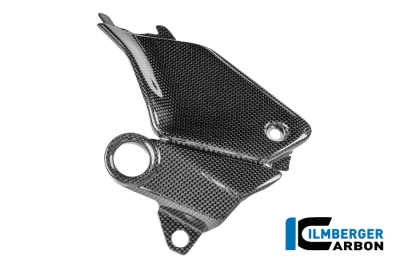 Carbon Ilmberger Seitendeckel am Tank Set  Ducati Streetfighter V4